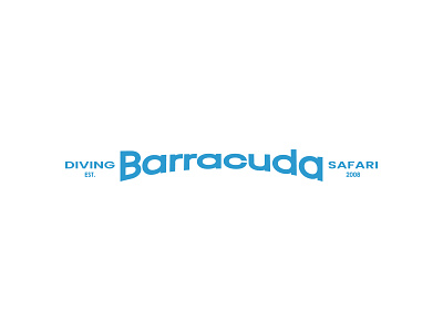 Barracuda Logo brand brand design branding design flat icon illustrator logo design logotype vector