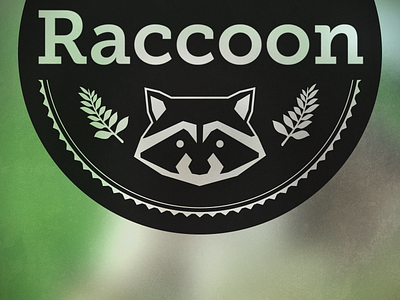 Raccon logo draft branding draft logo raccoon test wip