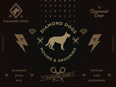 Dog Grooming Logo Designs Themes Templates And Downloadable Graphic Elements On Dribbble