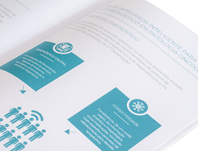 Brochure brochure editorial graphic graphic design illustration typography ui vector