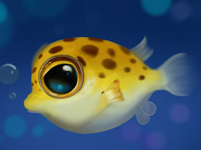 a fish illustration