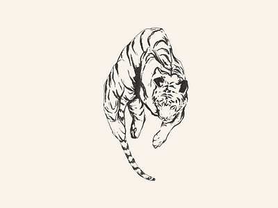 Tiger by Daniel Ido on Dribbble