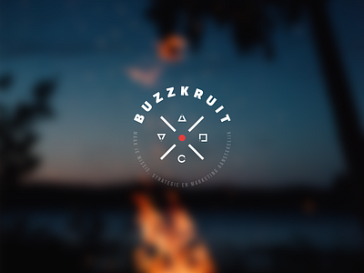 Buzzkruit fireplace logo logo design logo mark