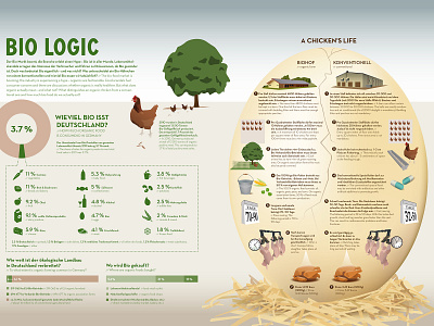 InGraphics 02 artwork bio chickens design illustration infographic information design organic organic food vector