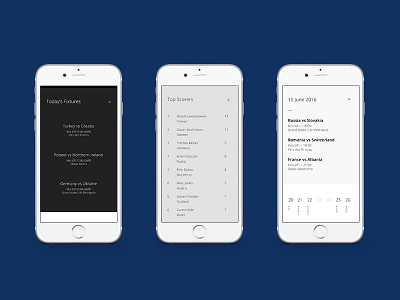 EuroTwenty.com data design euro 2016 football layout responsive typography uefa ui ux web