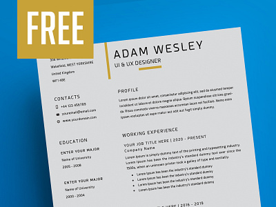 Resume Template + Cover Letter + Business Card - FREE