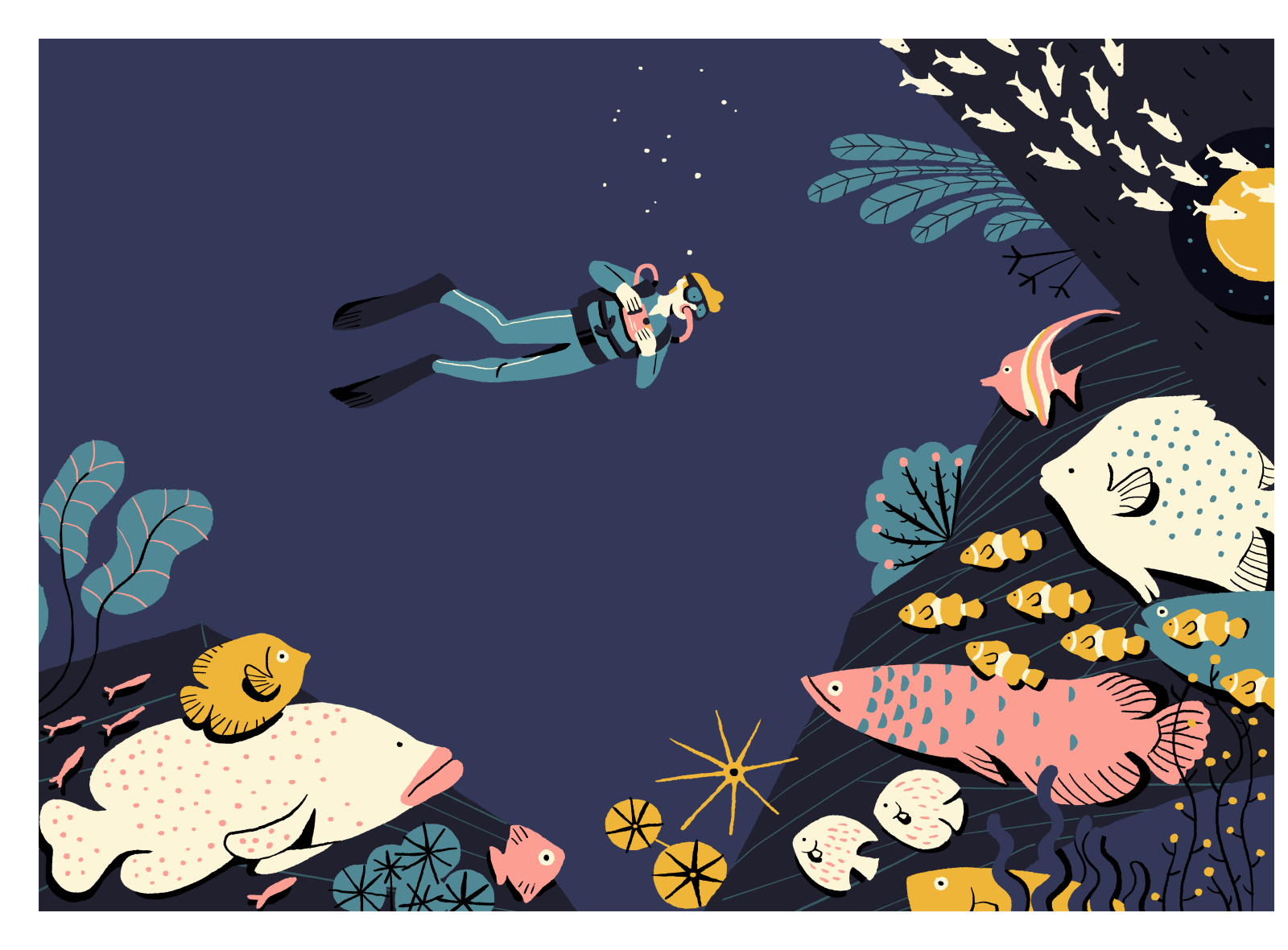 Diver by Camille Ferrari on Dribbble