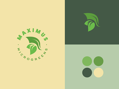 Maximus Microgreens // Branding Identity branding branding identity case study design e commerce green healthy healthy brand logo