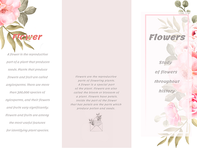 Flower Brochure brochure brochure design design flower flower logo photoshop