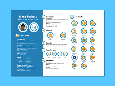 CV Diego Berkesy adobe illustrator argentina berkesy brand identity curriculum cv design diego illustration logo personal identity portfolio