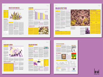 (2/2) Páginas del suplemento / Supplement Pages adobe illustrator argentina drugs indesign marihuana photoshop