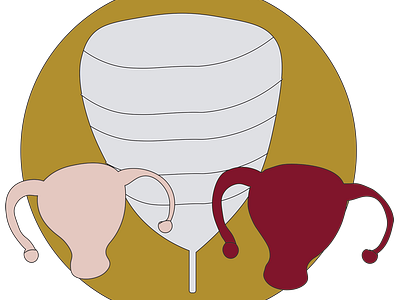 uteri