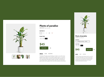 Single Product (Daily UI 12) app design daily 100 daily ui daily ui 012 daily ui 12 dailyui ecommerce plant responsive design responsive web design