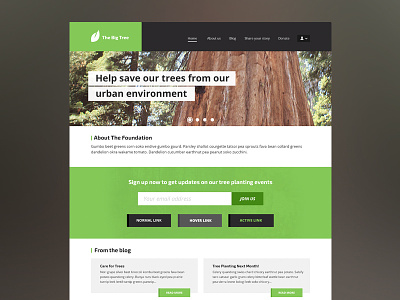 Collective Theme clean design flat gui minimal simple template theme ui ux web design website