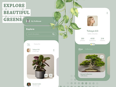 Online Home Plant green home plant indoor plants mobile ui natural plant