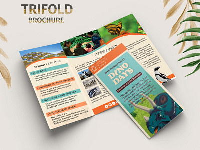 Trifold Brochure brochure graphic design indesign