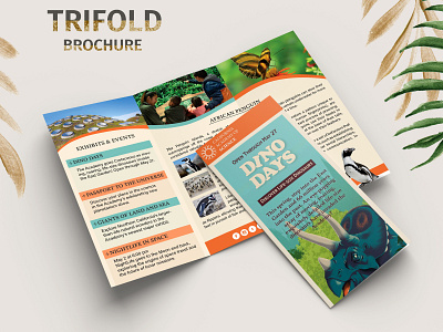 Trifold Brochure