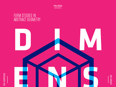 Dimension Rosa experiment geometry hexagon poster type