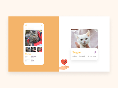 Adaptive Pet Card adaptive adaptive design adoption animal app charity concept cute animal design icon illustration logo mockup pet ui ux website