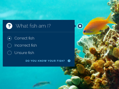 Fish Quiz