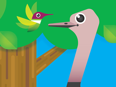 Hummingbird & Ostrich