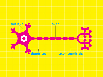 Neuron cell cmyk digital illustration illustration microscopic nerve neuron neurone nucleus science science illustration