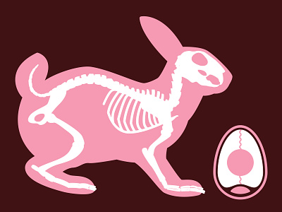 Easter Bunny X-Ray anatomy bones bunny easter egg inside pink rabbit skeleton x ray yolk