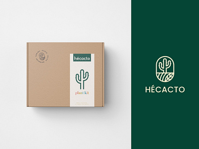 Hecacto Plant kit Package Design aesthetic brand identity branding cacti cactus cute elegant florist gift green hecacto minimalist modern package plant plant kit plant shop simple