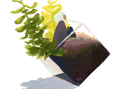 Terrarium 1 color study hand drawn illustration terrarium