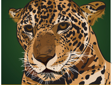 Save the Rainforest project - illustration art branding design illustration illustrator lettering vector