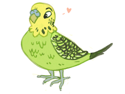 Budgie bird black budgie debut green illustration photoshop yellow