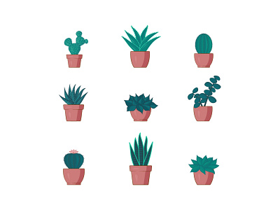 Cacti and Succulents cacti cactus cute green icon illustration illustrator plants succulents