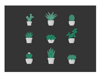 Cacti and Succulents aloe cacti cactus cute green houseplants illustration illustrator plants snake plant succulents
