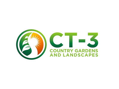 CT3