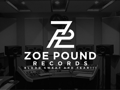 ZP LOGO app branding design icon illustration logo minimal typography ux vector