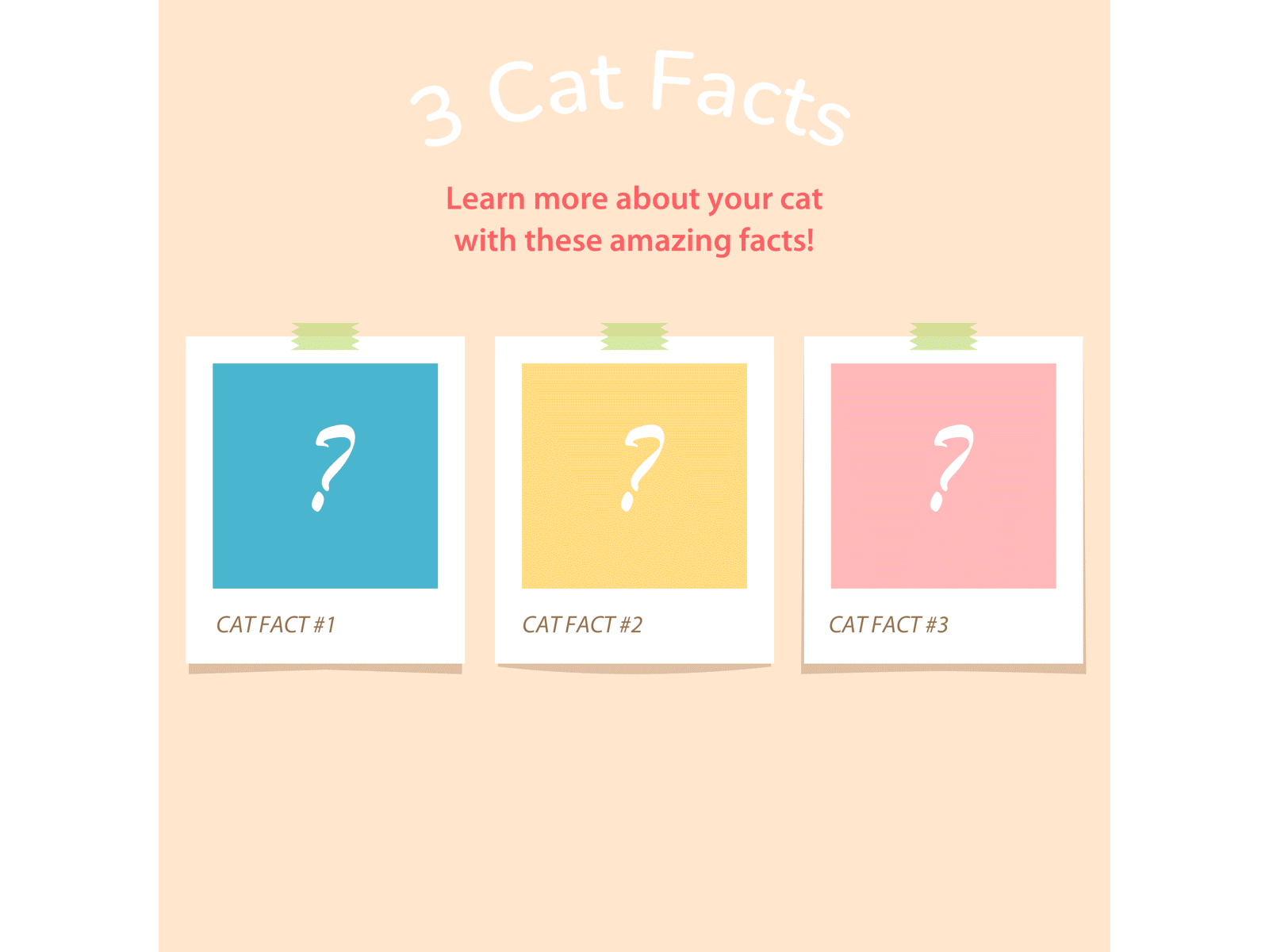 Cat Facts cat cats clean colorful creative cute cute art design facts instagram instagram post interesting kawaii pastel pastel colors polaroid post typography