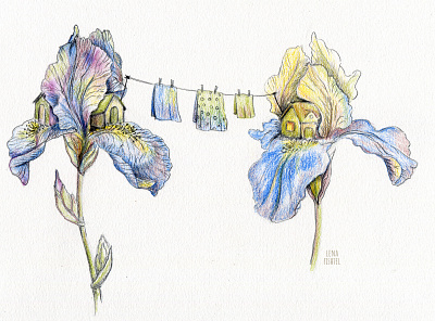 The Big Wash color pencil flower illustration flowers illustration watercolor