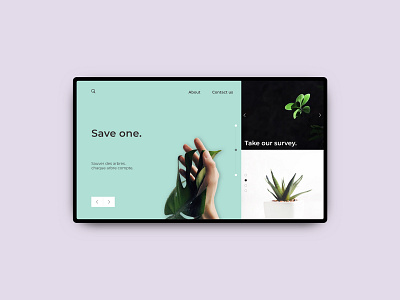 Save One. clean graphic minimal plants simple ui uidesign web design website