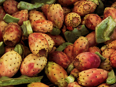 cactus pears - prickly pears