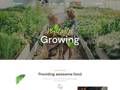 Seedone - Vegetables growing, lettuce and greenhouses agriculture eco farming greengouse growing lettuce multipurpose natural organic ui ux vegetables web design