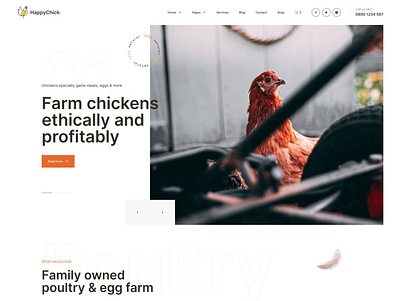 Poultry farm theme agriculture chick chicken cock eco eggs farming natural organic poultry ui ux web design