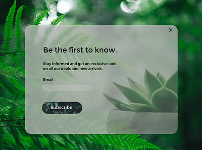 Daily UI 026: Updated Version clean clean ui daily ui daily ui 026 daily ui 26 dailyuichallenge frosted glass frosted glass effect green minimal nature plants subscribe subscribe form subscribe pop up subscribers subscription box succulents ui ux