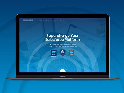Salesforce Microsite clean design homepage landing page salesforce ui web web design website