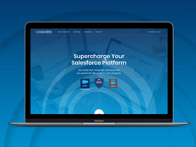 Salesforce Microsite