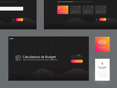 Budget - Applicant Form animation app dribbble form form design interface product design quiz ui uidesign uiux webdesign website