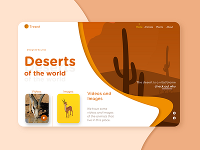 Tresed design flat illustration ui ux web webdesign website