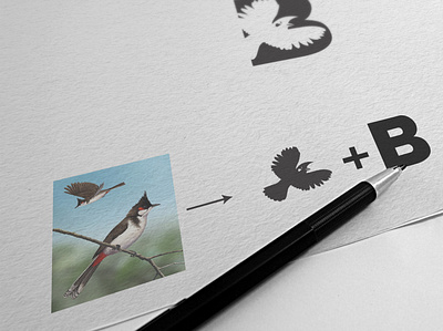 Logo creation Process bird illustration brand design corporate design font design icon illustration logo silhouette ui ux vector