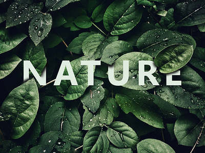 Nature nature art nature photography photography photoshop
