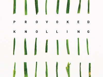 Provoked Knolling album arrangement cover design graphic design grass knolling mixtape neat photography