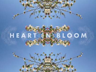 Heart In Bloom album bloom cover design graphic design heart mixtape music photography typography